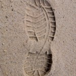 20110116-094818.jpg