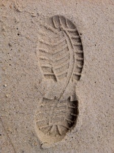 20110116-094818.jpg