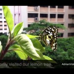 20110306-083051.jpg