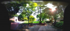 20111120-102020.jpg