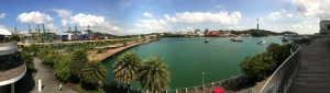 20120524-163657.jpg