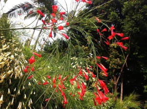 20120908-101326.jpg
