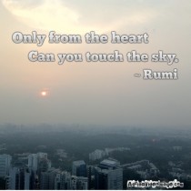 20120921-092919.jpg