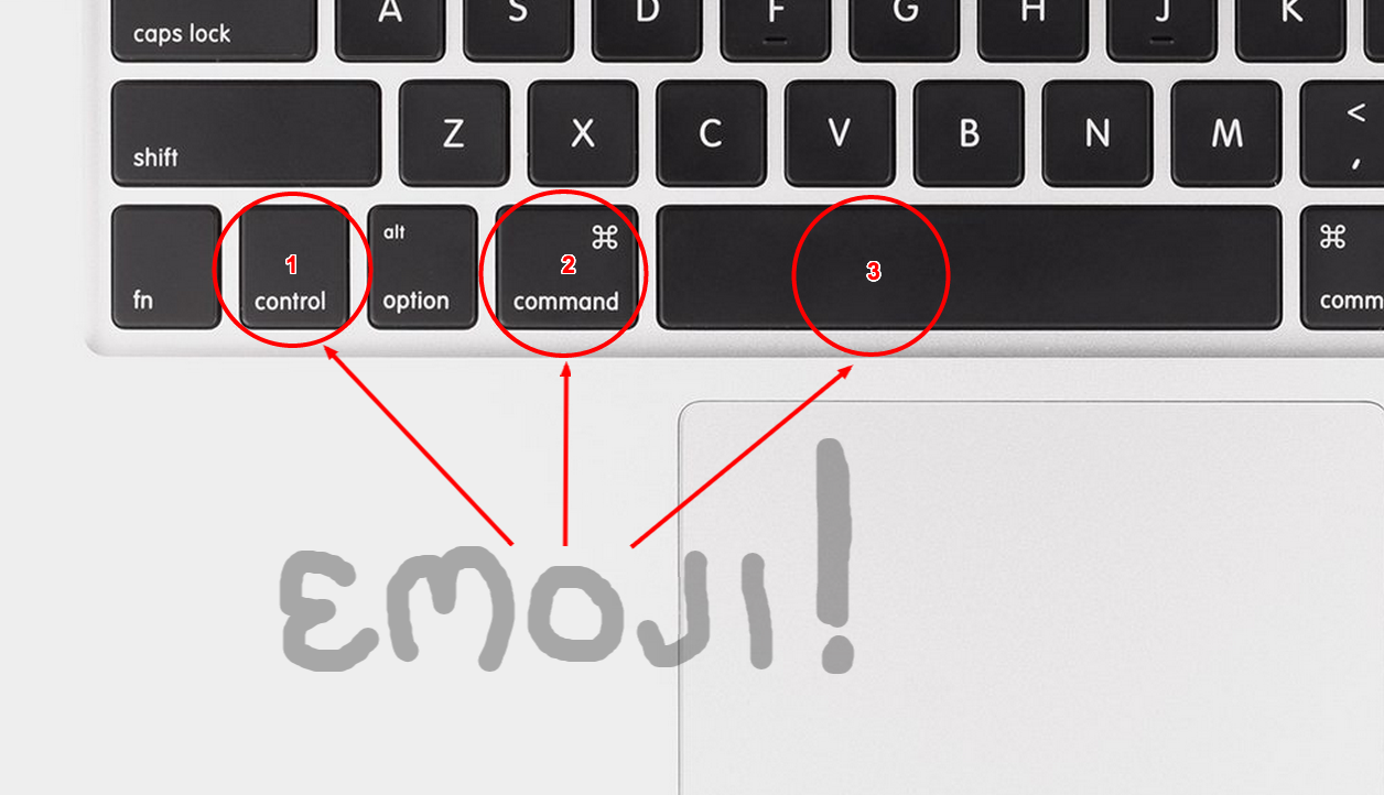 how to put emojis on mac computer