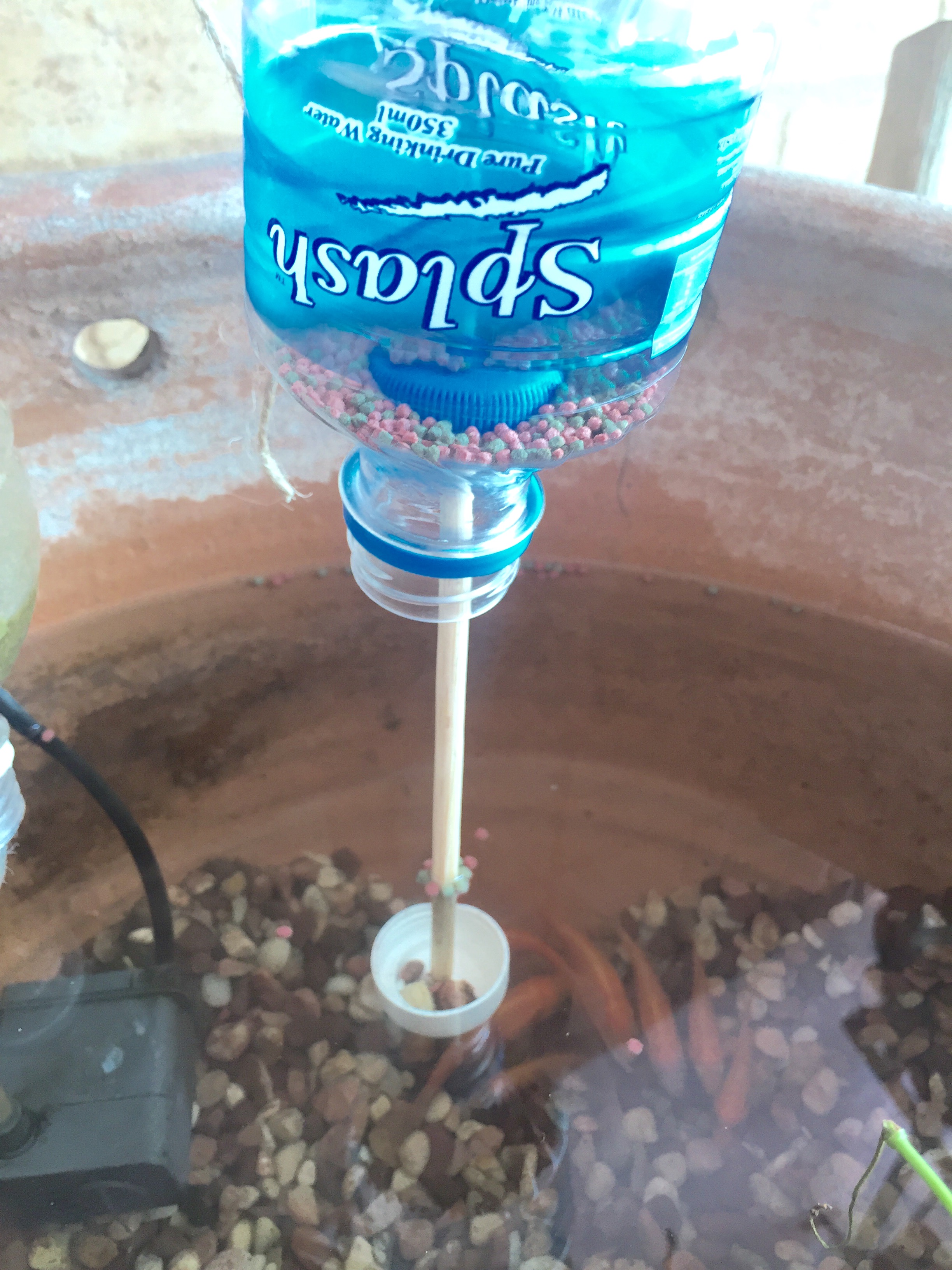 DIY Drip Feeder For Fish Adrian Video Image